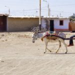 Projekt 447 – Peru – Piura