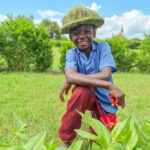 MWDB_Ania Mitura_Zambia_SOM 2024-9