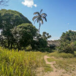 Wenezuela_Projekt 772_2023_SOM-3aa