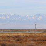 ARTYKUŁY – WOLONTARIAT – KAZACHSTAN OD KUCHNI