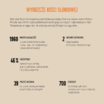 Grafika do mapy wersja 2