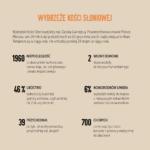 Grafika do mapy wersja 2 b