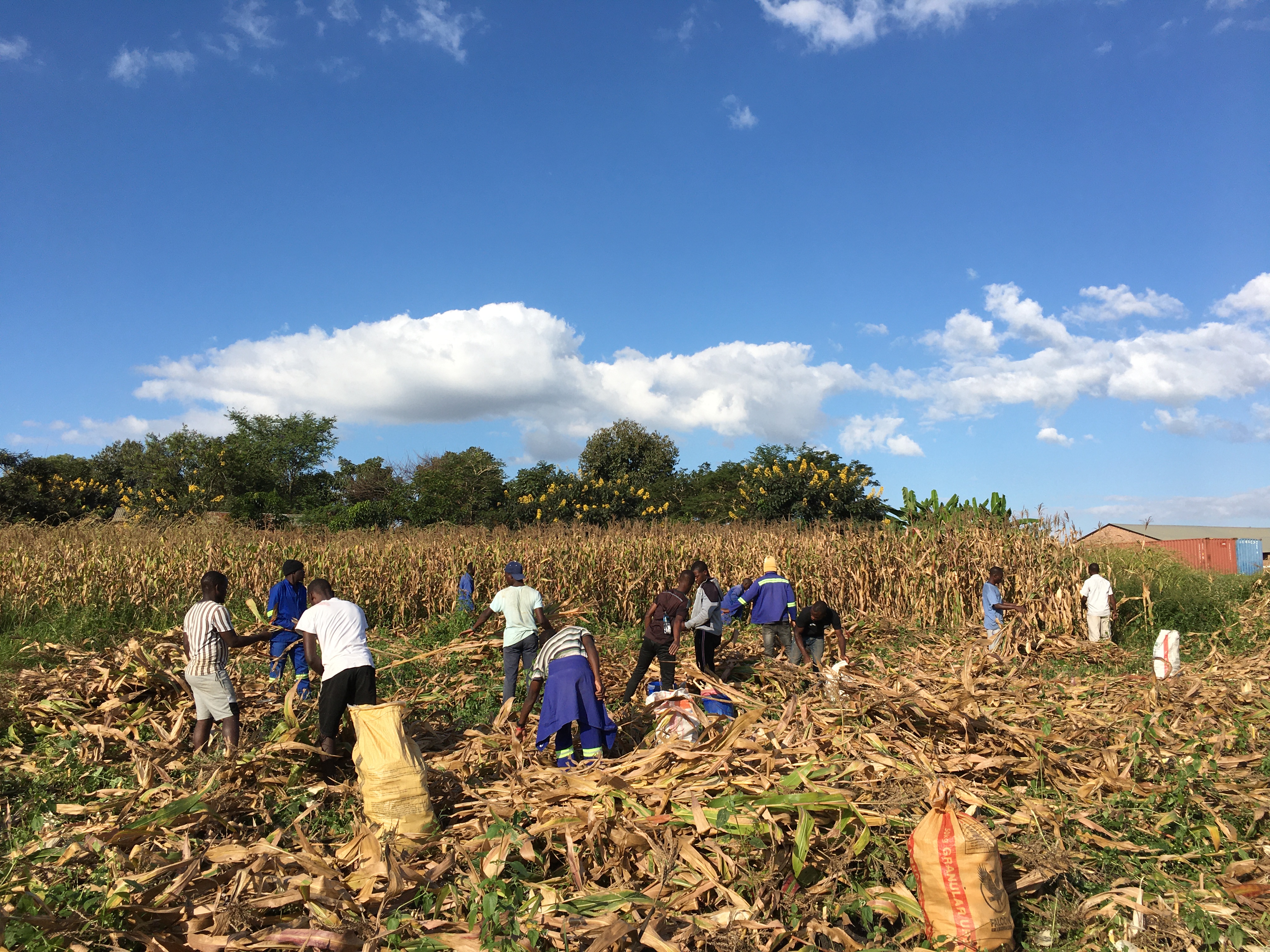 PROJEKT 768 — MALAWI — ZAKUP TRAKTORA