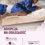 Adopcja_sprawko 2024