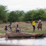 MWDB_Basia_Malawi_SOM 25-1011258