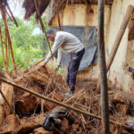 MWDB_Emilia_Zambia_25_SOM-1000070811