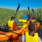 MWDB_Emilia_Zambia_25_SOM-1000084268