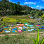 MWDB_Madagaskar_Ola Jarosz_SOM_ 25-8229