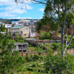 MWDB_Madagaskar_Ola Jarosz_SOM_ 25-8237