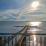 MWDB_Zosia_Brazylia_SOM 25-1000080272