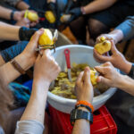 MWDB_kwiecien 2025_SOM-03173