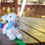 MWDB_kwiecien 2025_SOM-03473