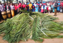 Niedziela Palmowa w Zambii – list s. Julienne