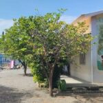 WhatsApp Image 2025-05-19 at 14.53.48 (5)